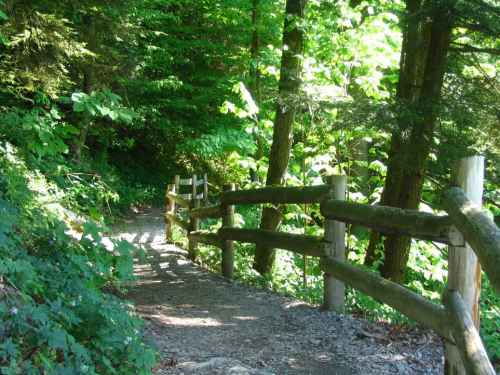 Enfield Gorge - Ledge Trail 13