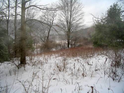 Halsey Valley