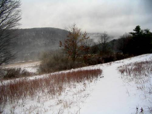 Halsey Valley