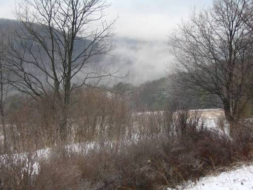Halsey Valley