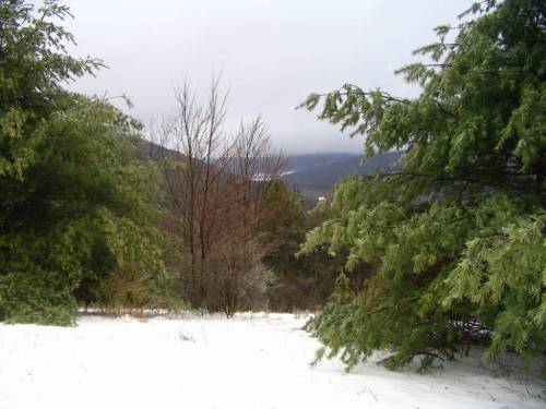 Halsey Valley
