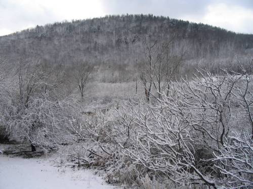 Halsey Valley